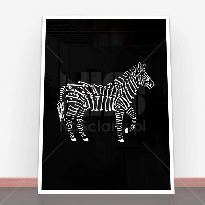 Plakat Zebra Bones